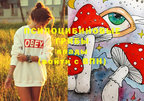 стафф Медвежьегорск