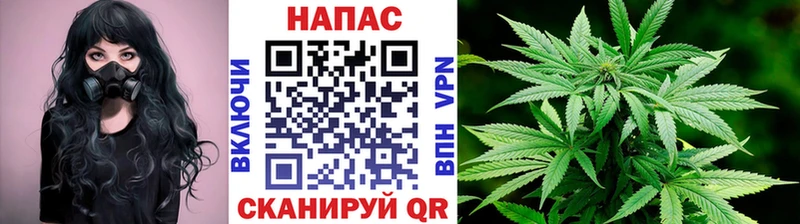 дарнет шоп  Называевск  Бошки Шишки Amnesia 